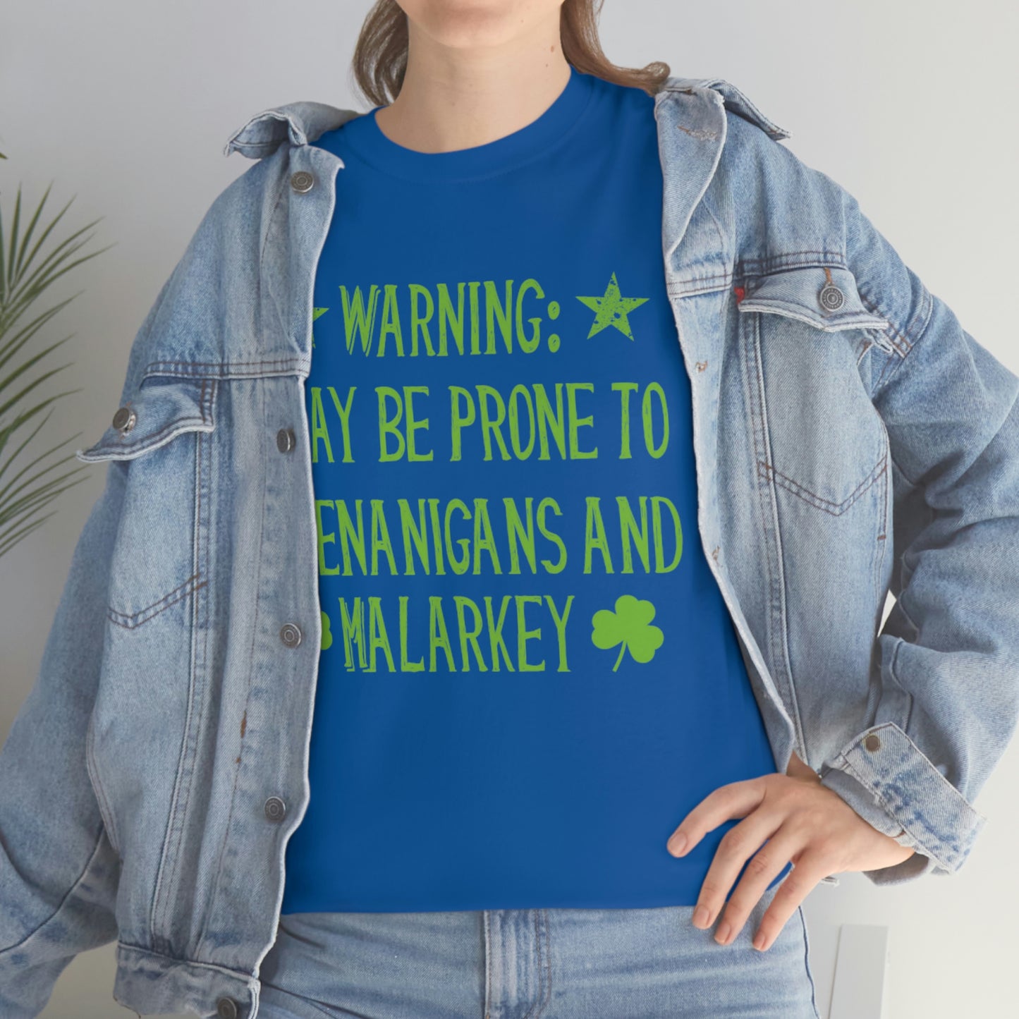 Shenanigans and Malarkey - Unisex Heavy Cotton Tee