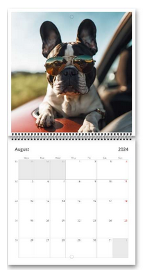 Dogs Wall Calendar 2024